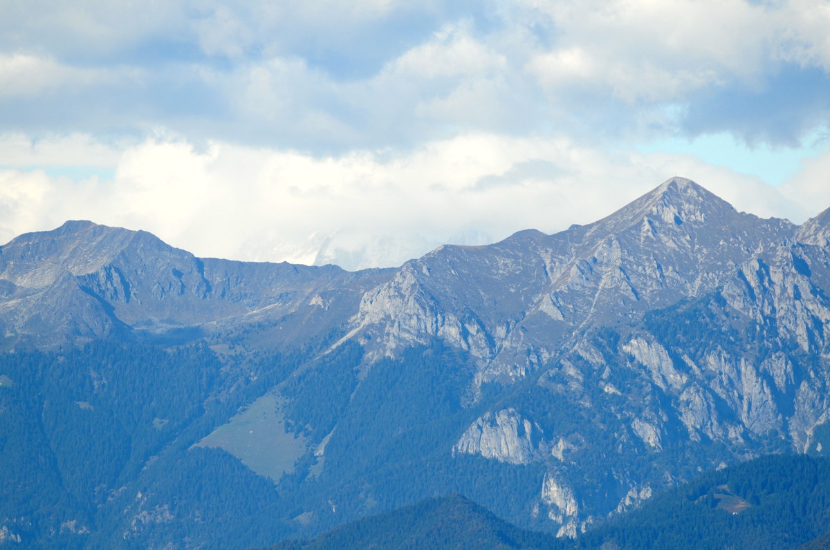 Aiuto riconoscimento Orobie, Prealpi bergamasche e bresciane